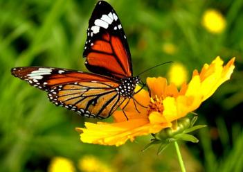 心理测试测你近期有什么惊喜,心理测试什么时候财运转好