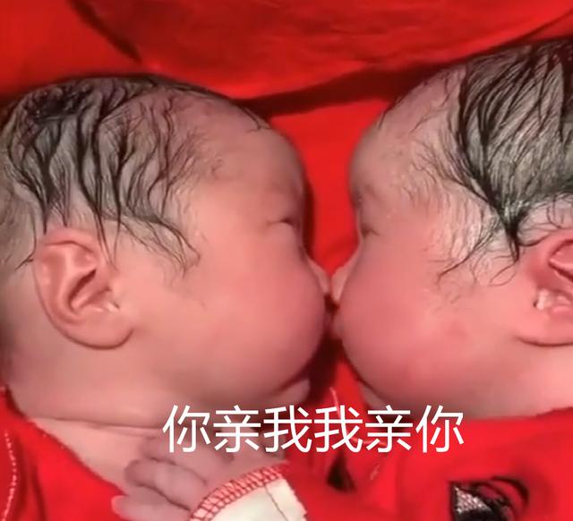 龙凤胎兄妹又抱又亲刚出生,龙凤胎兄妹出生相差一分钟