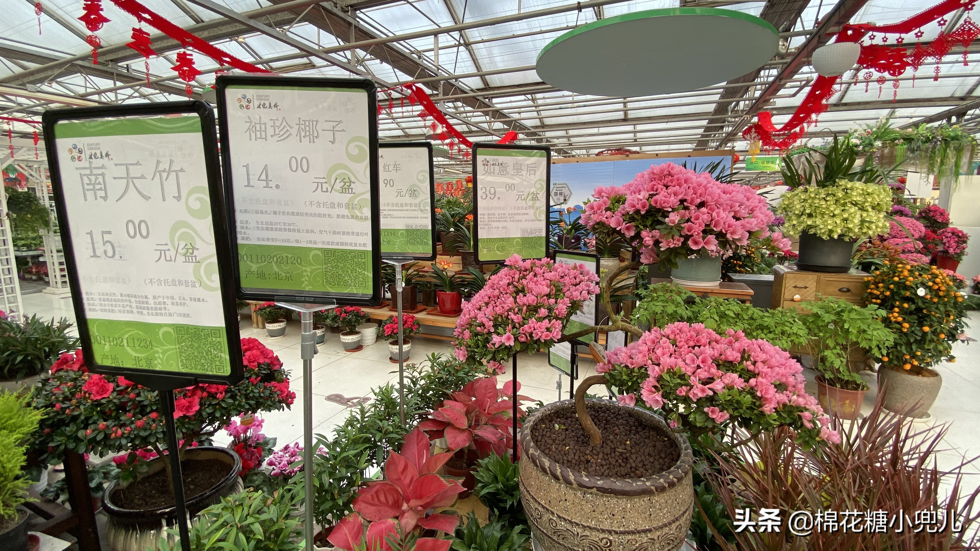 北京南四环花卉绿植批发市场,北京开一家鲜花店