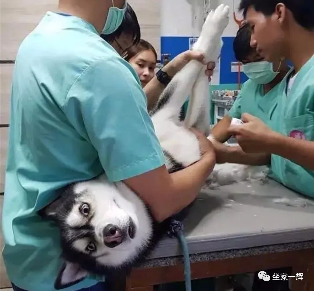 揭秘互联网比较常见的网赚骗局,知识分享割韭菜新套路