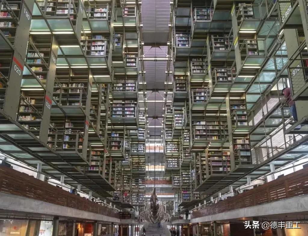 全球美到窒息的白天鹅和山水风景,全世界惊艳的图书馆