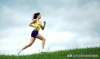 高校体育设施需要对社会开放吗,高校体育场是对公众开放吗