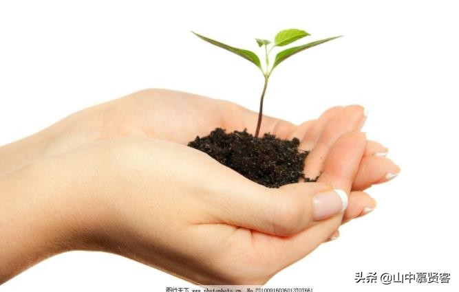 百鸟朝凤中国文化遗产唢呐,唢呐百鸟朝凤来源及其背景