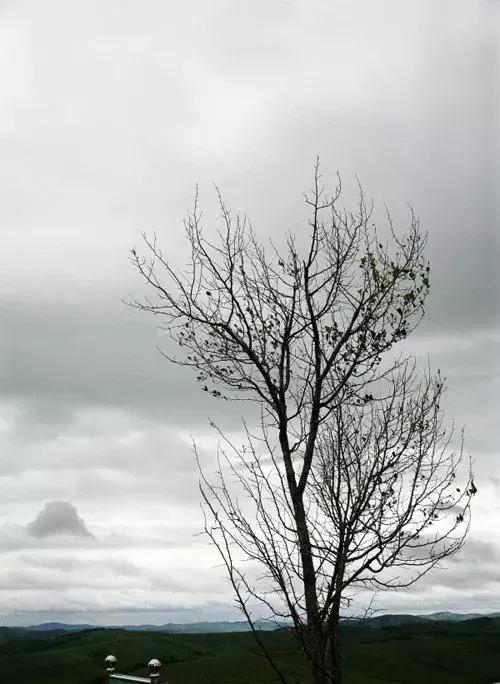 新的一年对军人的祝福,春节对军人的祝福