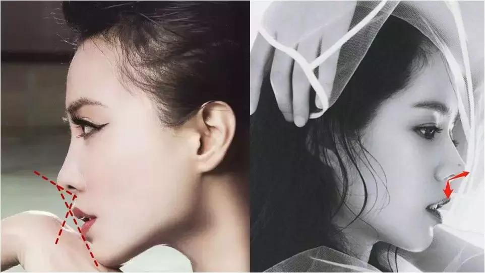 鼻子有这4个特征的人，才称得上“美鼻”，让人眼睛都挪不开