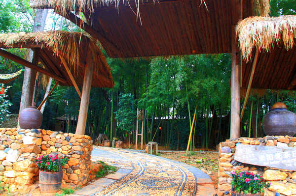 鄱湖之滨美景图,鄱阳湖之滨