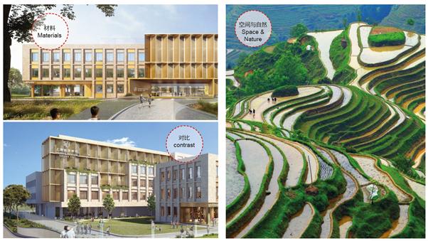 金茂教育,金茂学校最新的情况