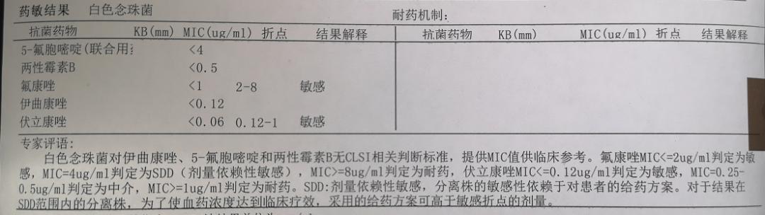 下腹痛白带水样,小腹疼白带多做什么检查