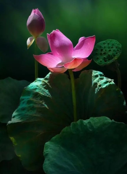 抠图以后如何美化边缘美图秀秀,如何用美图秀秀将抠图和新图结合