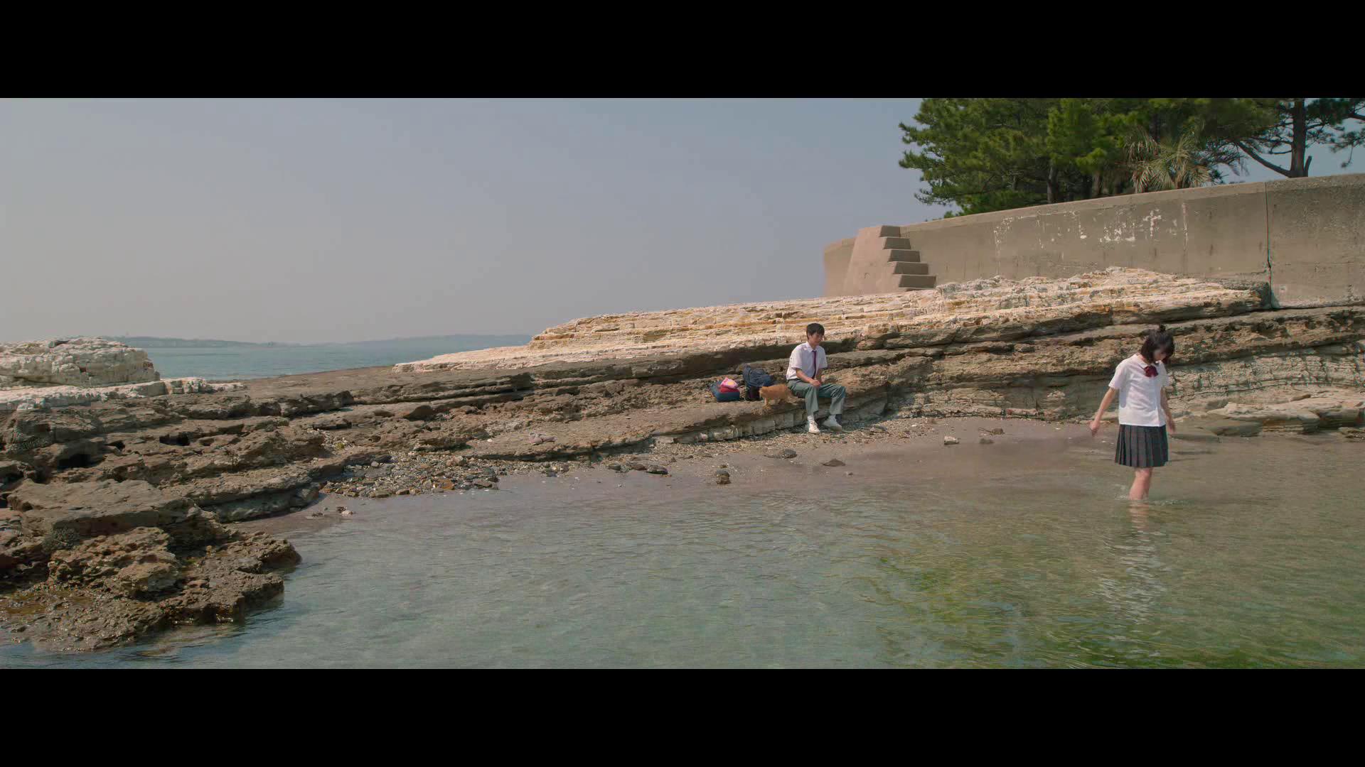 十部顶级治愈系猫片,十部顶级治愈猫的电影