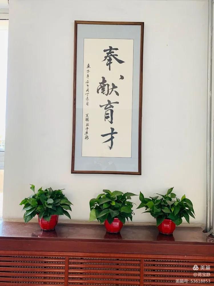 2020鏁欒偛鍏氬缓宸ヤ綔鐨勫唴瀹瑰拰浜偣,鑲叉墠瀛︽牎鍏氬缓