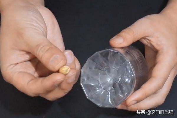 无毒灭老鼠的最佳方法,灭老鼠的1000个方法