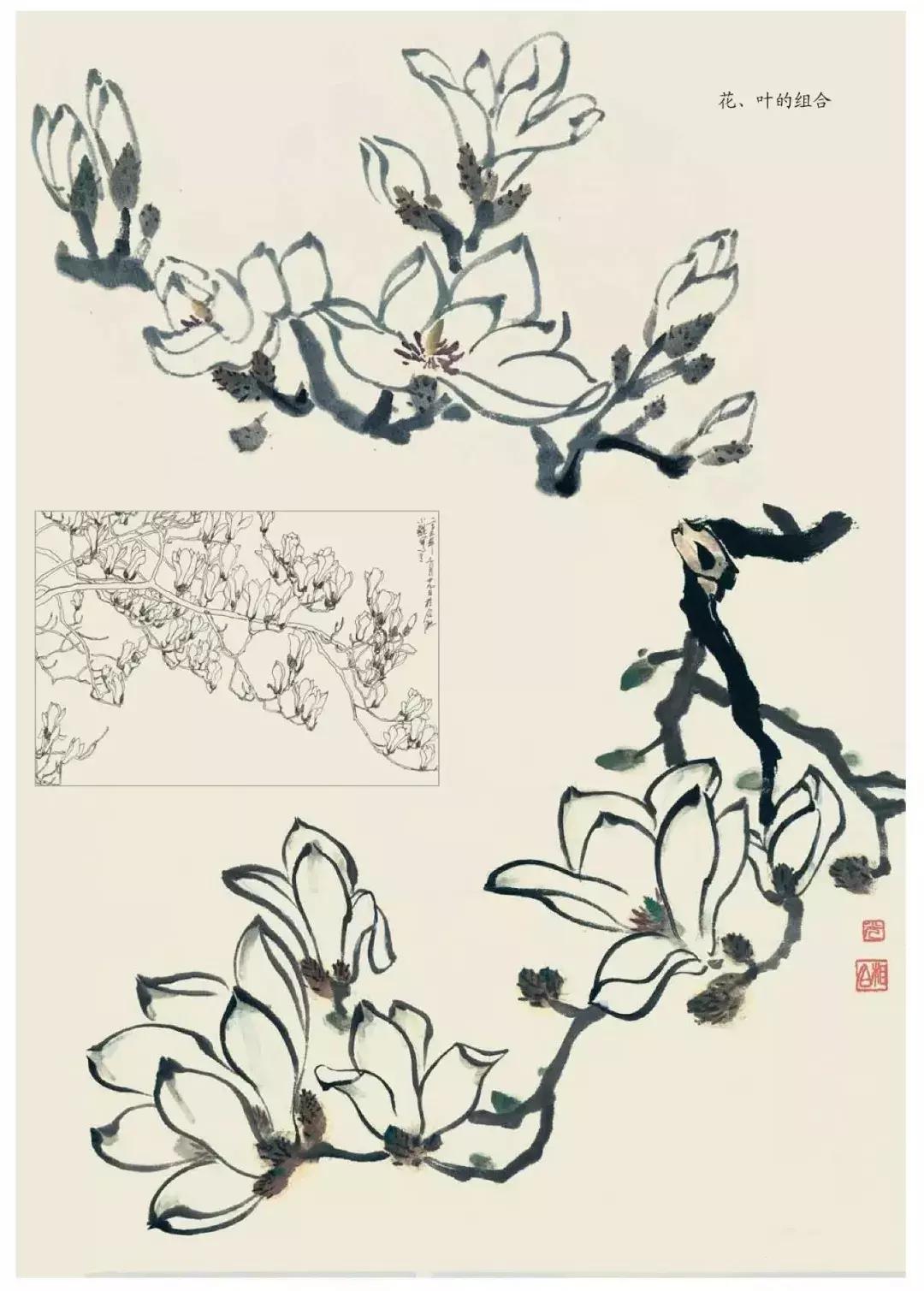 国画中各种花卉的画法,国画花卉画法步骤视频教程