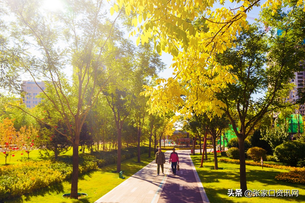 张家口新开的主题公园,张家口大好河山景观区夜景