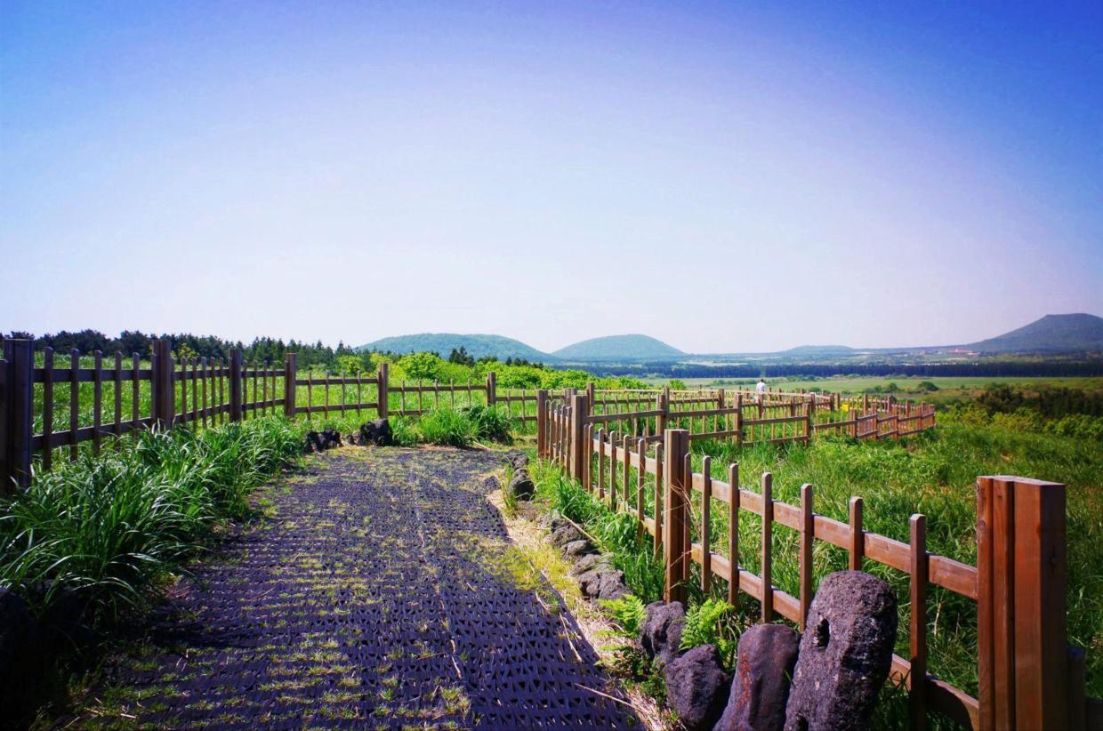 抱歉韩语几种表达方式,韩语谢谢的表达方式