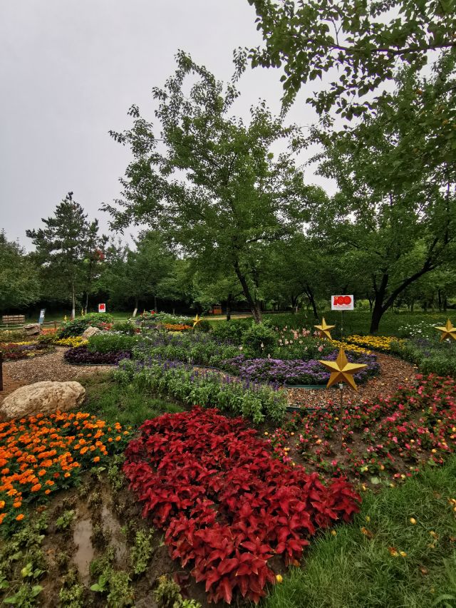 百花园里花里花争艳,百花园里百花香