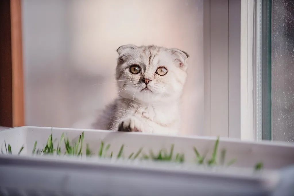 你有什么资格说爱我吗,你有什么资格说爱我完整版