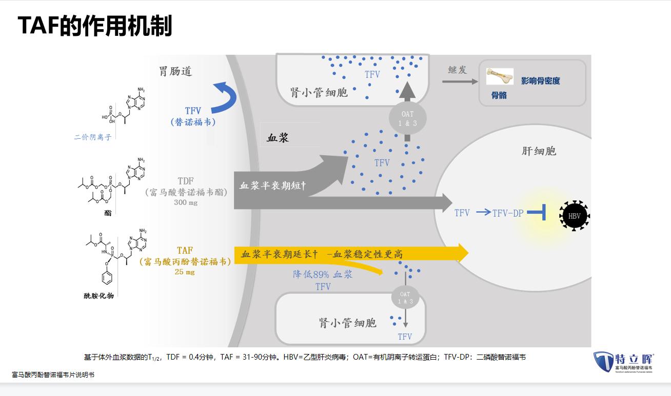 taf乙肝新药国产情况,乙肝富马酸替诺福韦片照片