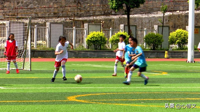 我运动我健康我快乐主题运动会,我运动我快乐我健康校运会