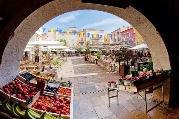 中国有机农业的道路应该如何寻找,有机农业中国农业