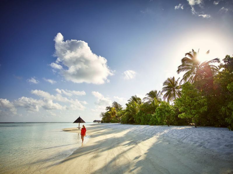 马尔代夫南阿里环礁丽世岛,马尔代夫曼德芙仕岛旅游