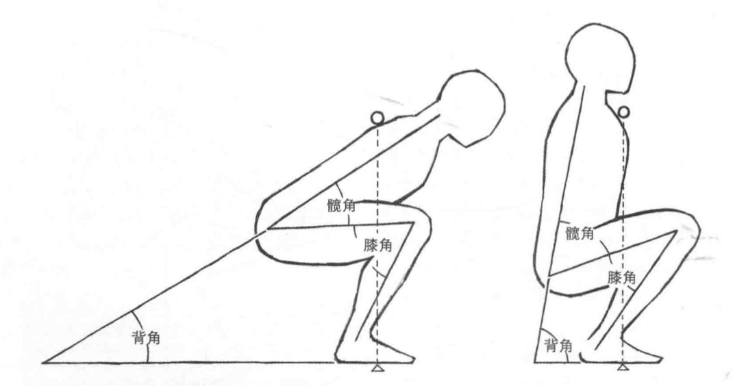 宝藏级|运动者都该看的负重人体运动解析