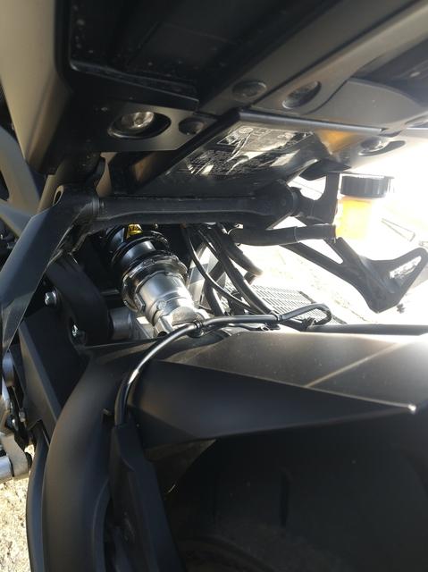 目露凶光在线观看,雅马哈mt09超清图片