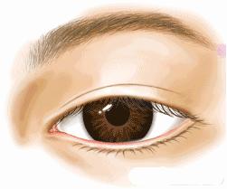 想做双眼皮是不是得检查下视力,想做双眼皮攻略