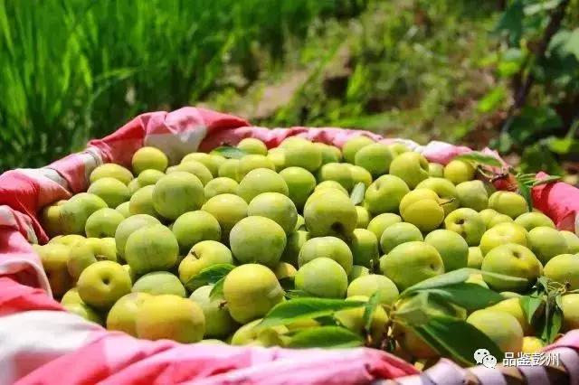 铅山县葛仙山,去葛仙山攻略