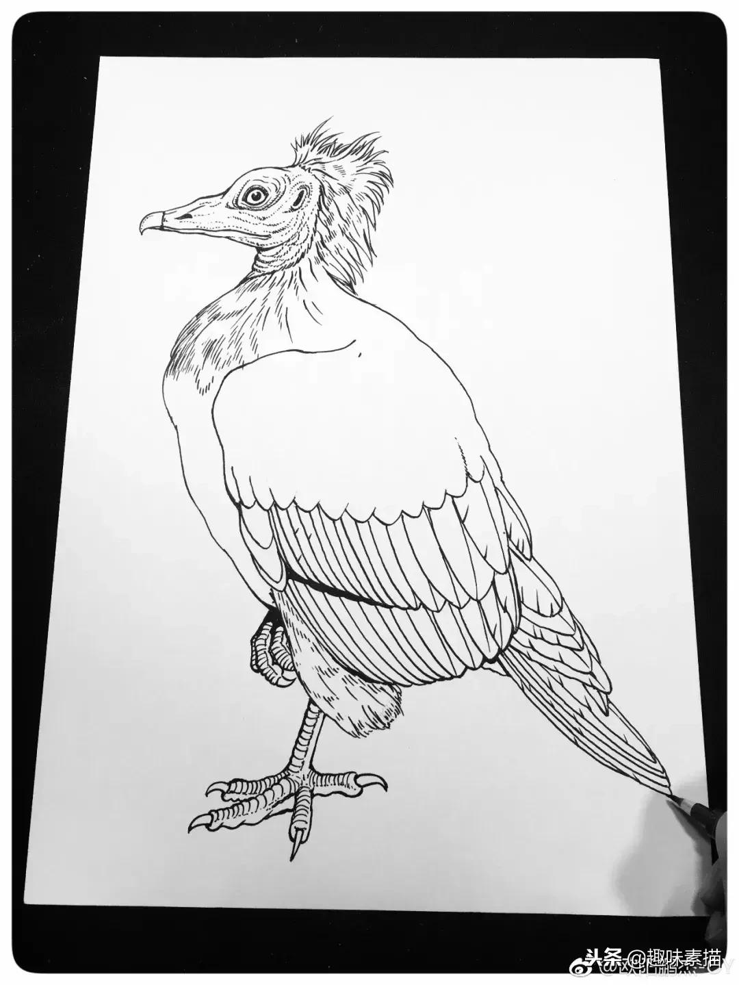 针管笔入门初学者画风景,针管笔教程