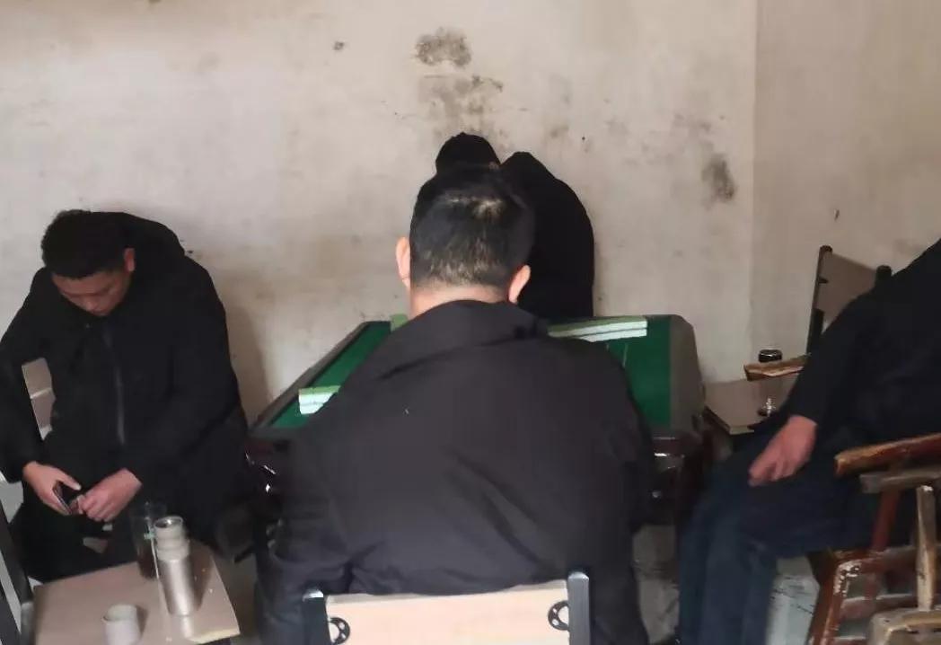 南阳市公安最新新闻,河南南阳市公安新闻