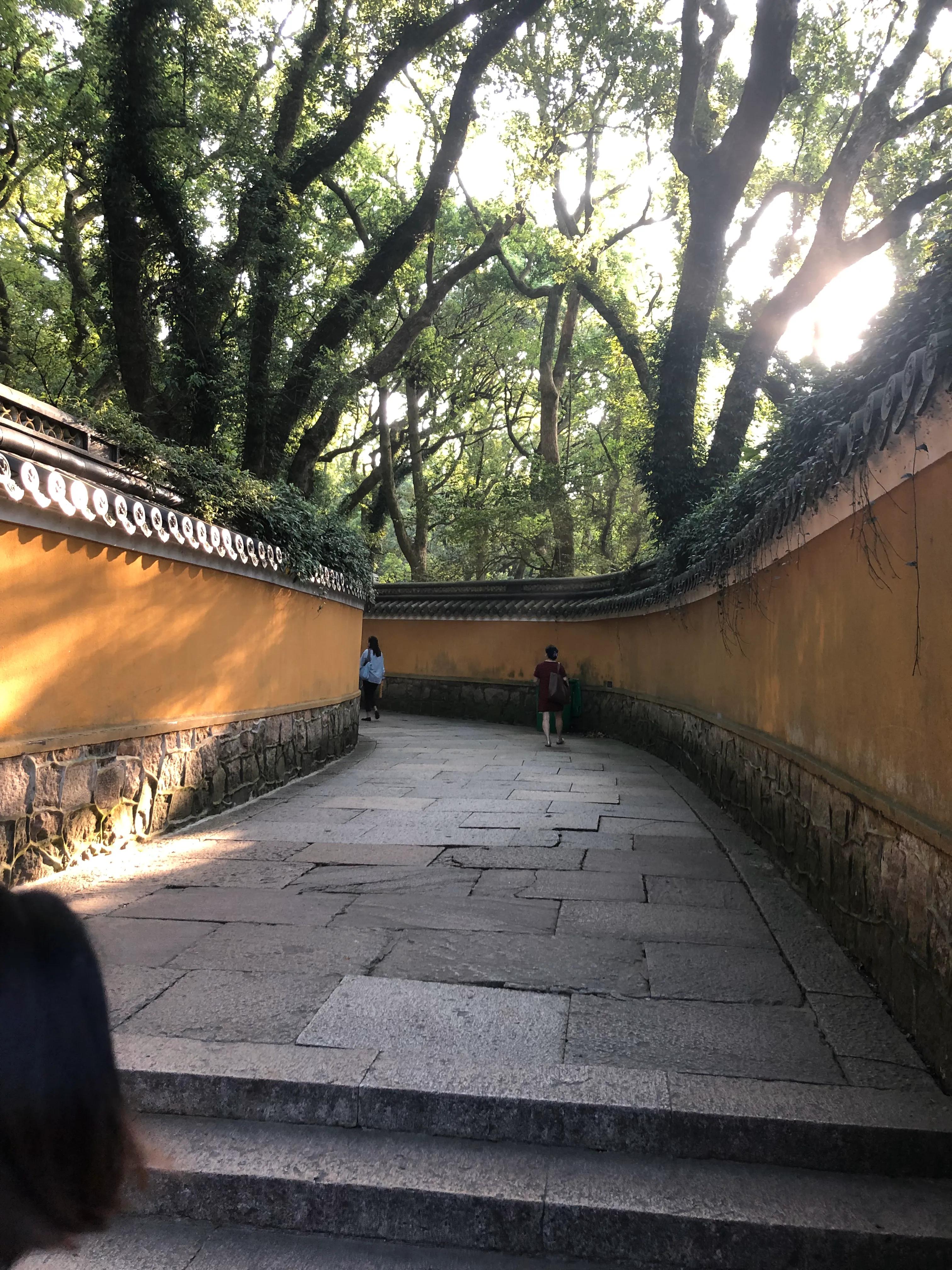 自驾游普陀山旅游攻略,广州到普陀山旅游攻略