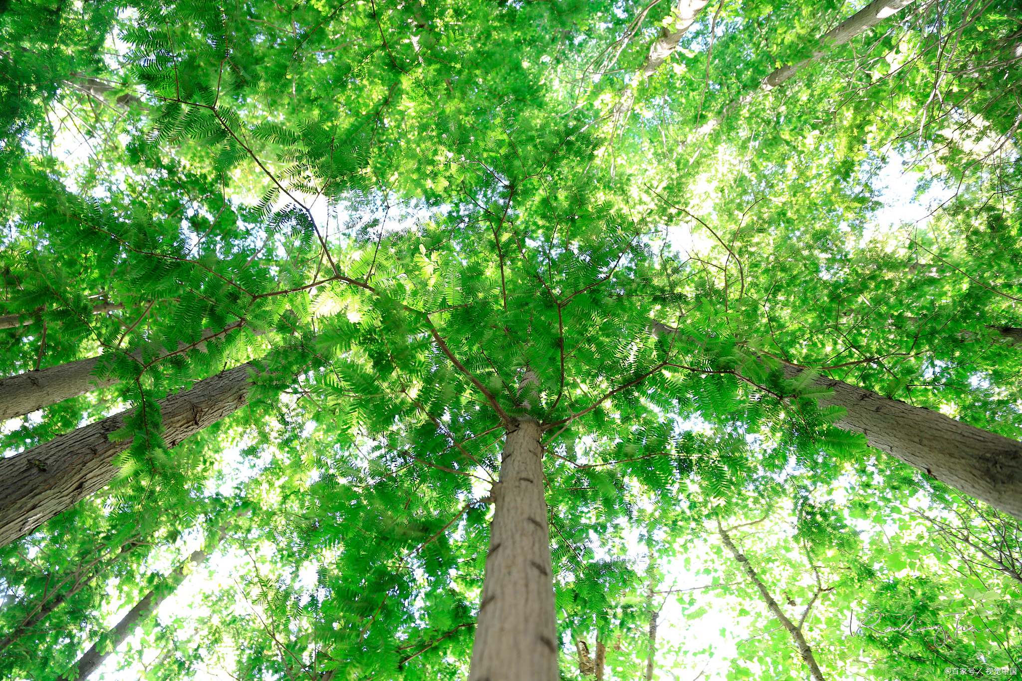 我国避暑胜地,北方避暑胜地常年温度