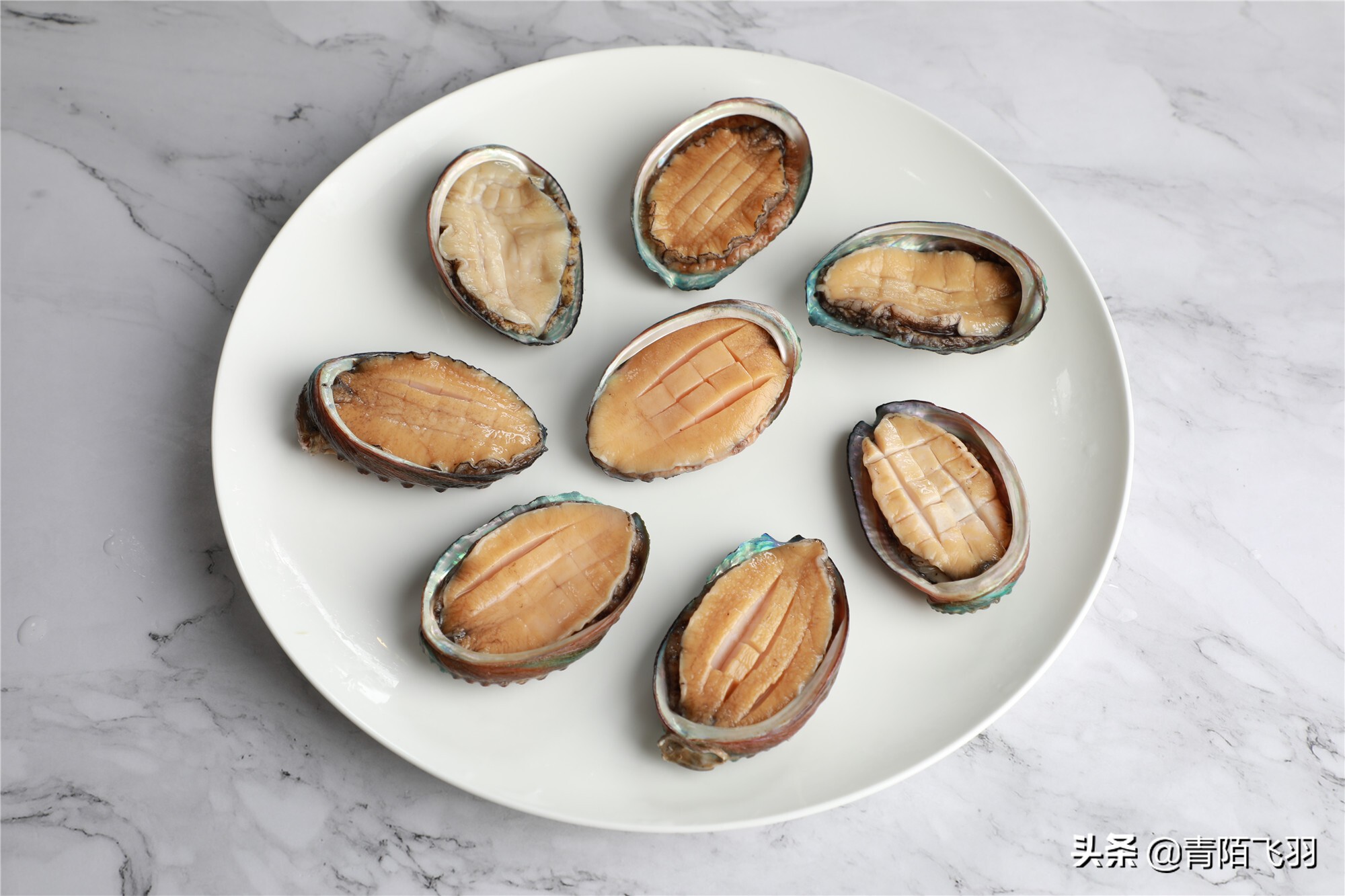 鲍鱼鱼怎么做最好吃,鲍鱼怎么做软烂q弹