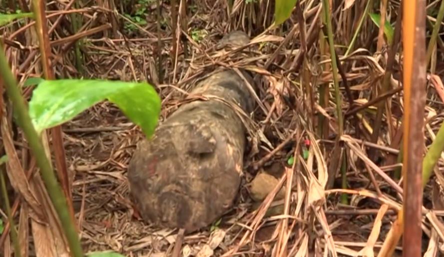 实拍非洲紫檀木*私走**全过程：护林员做*私走**，一根紫檀木赚三万