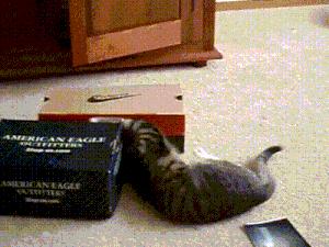 新粒子加速器比绿豆还小？在家都能做高能物理实验了！