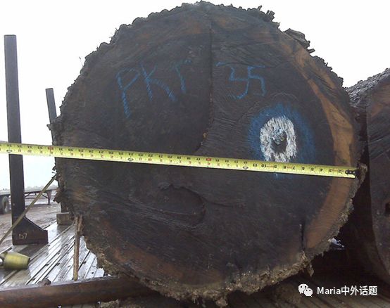 美国硬木干货价格,北美硬木排行