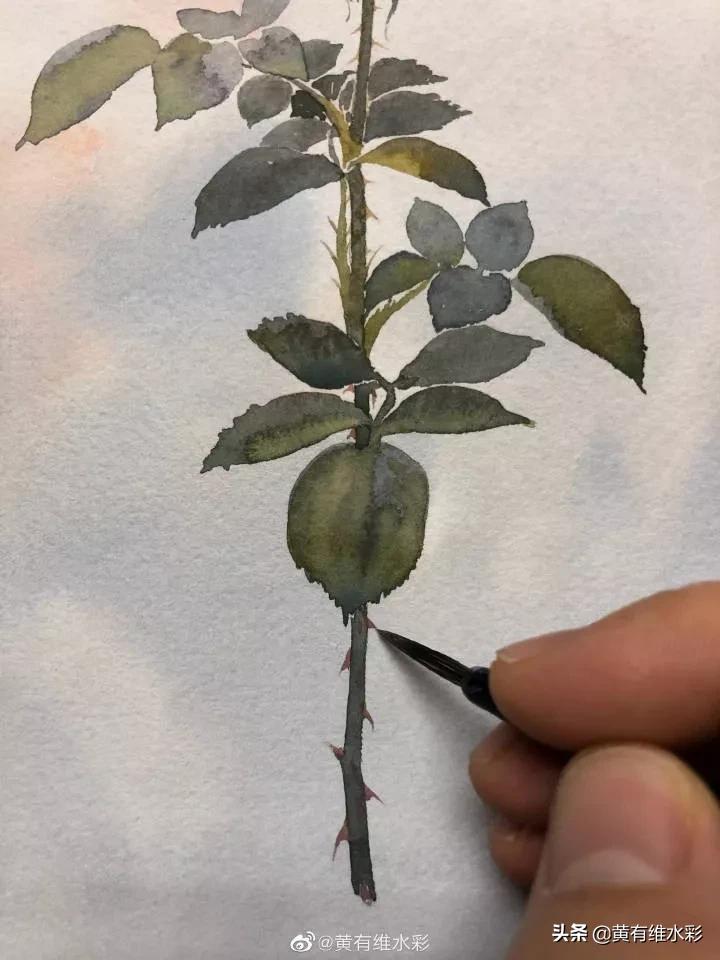 淡蓝色花朵水彩画,蓝色花主题水彩画复杂