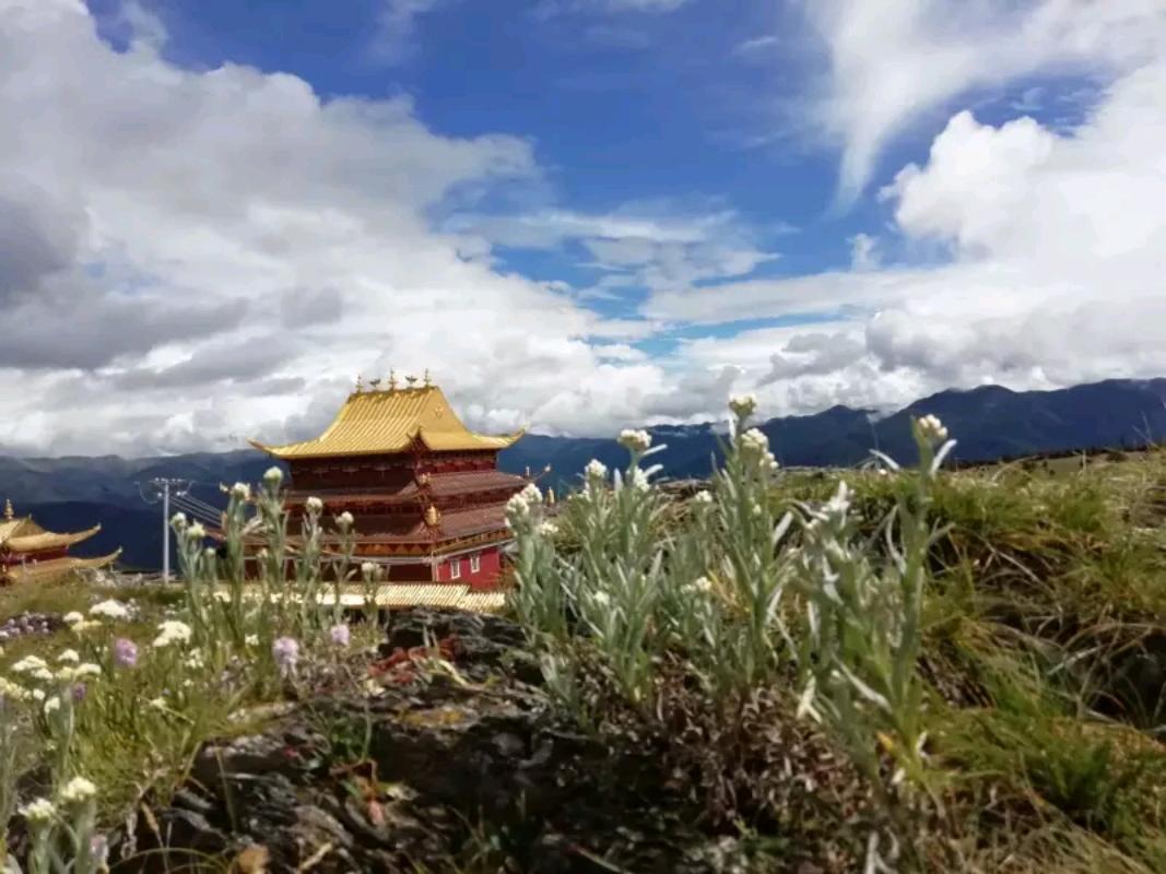 挖坟三人组,三人组合挖坑