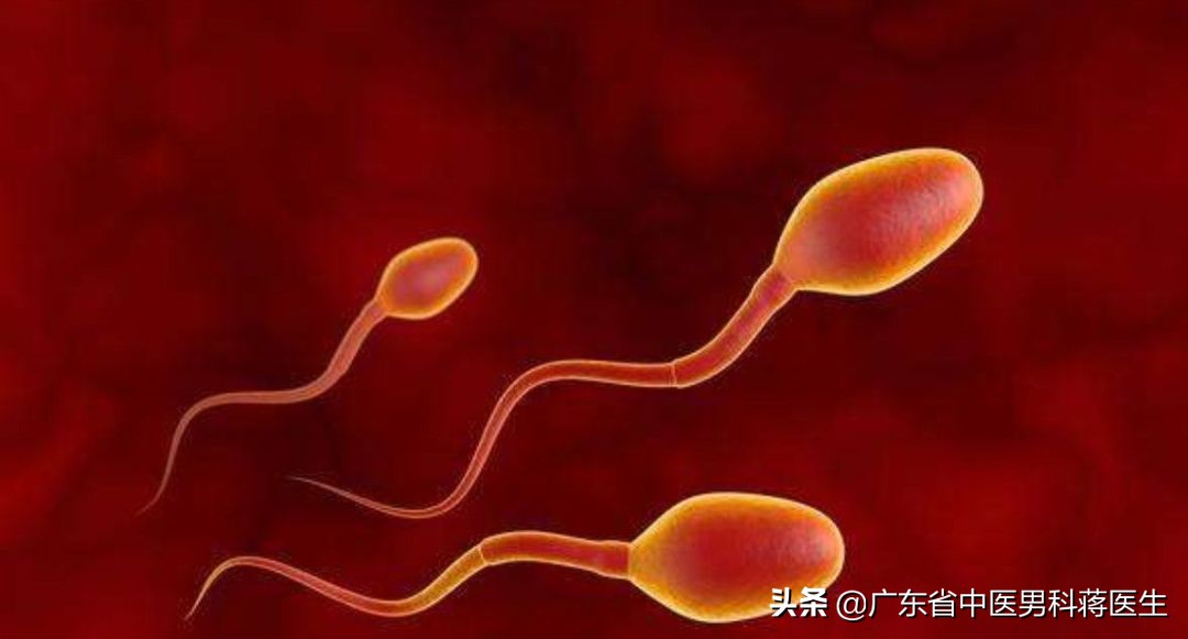 精子带血怎么处理,精子带血要怎么治疗