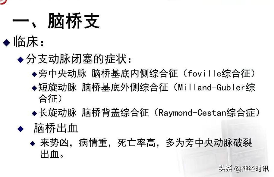 脑动脉解剖学讲解,脑膜中动脉解剖讲解