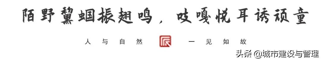 草树青翠虫鸣起，一枕清凉入梦来