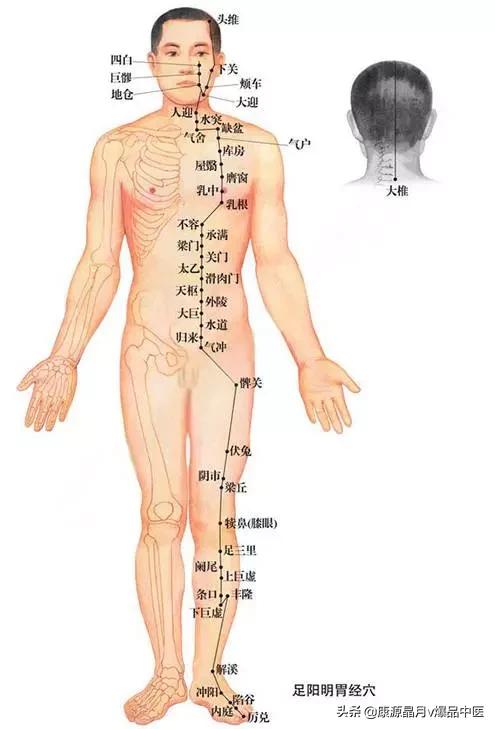 天下无疾,十二经脉流注图总结规律