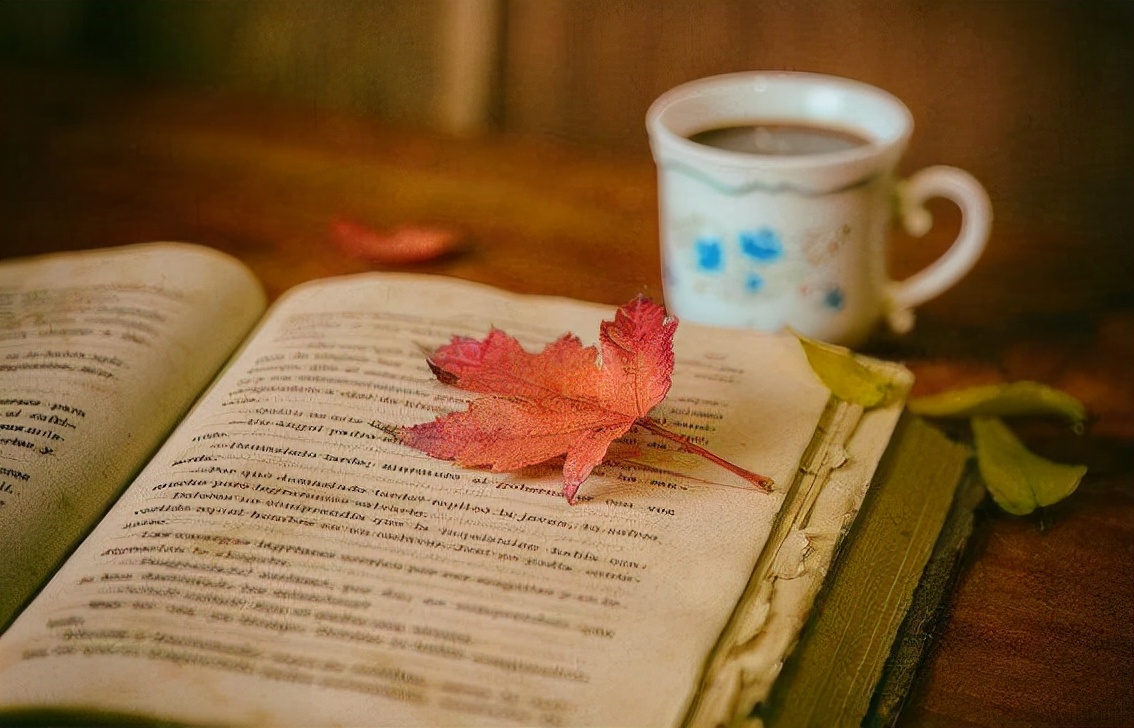 不读书会做什么,现在不好好读书将来会怎么样