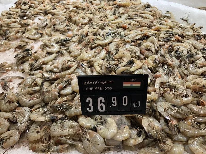 新加坡和迪拜生活成本,迪拜生活费用价目表