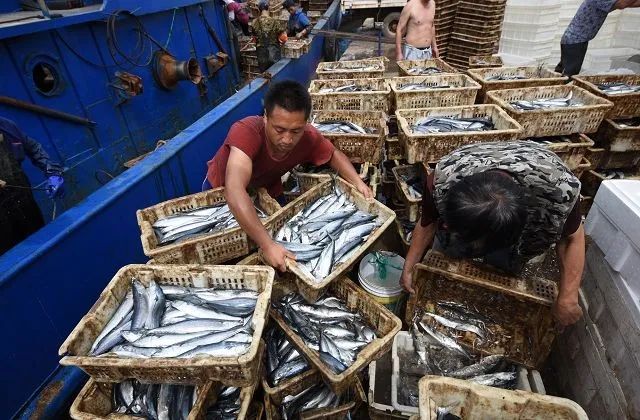 浣犲涔呮病鍘绘捣杈瑰害鍋囦簡,浣犲涔呮病鏈夊嚭闂ㄦ梾娓镐簡