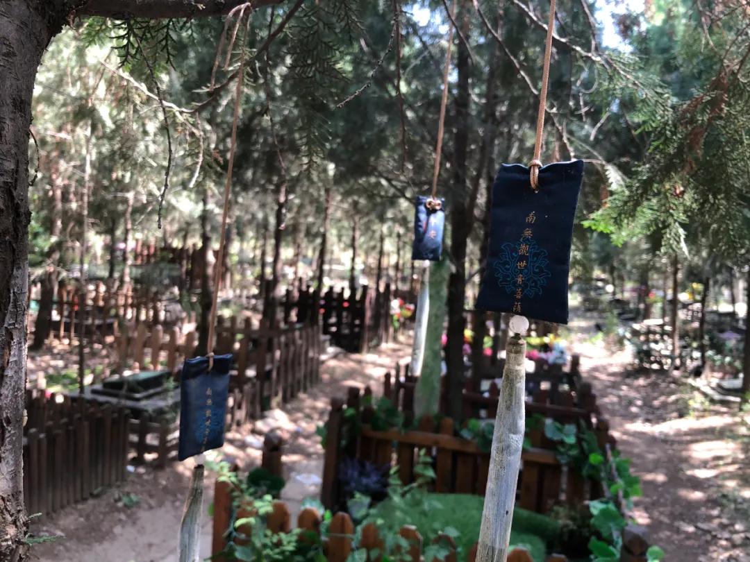 宠物殡葬:火化宠物遗体,做法事后墓园埋葬,无法接受宠物死亡