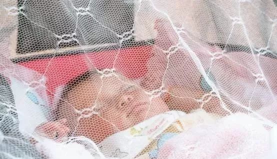 宝宝出去防蚊子叮咬的最佳方法,宝宝一直被蚊子咬怎么驱蚊