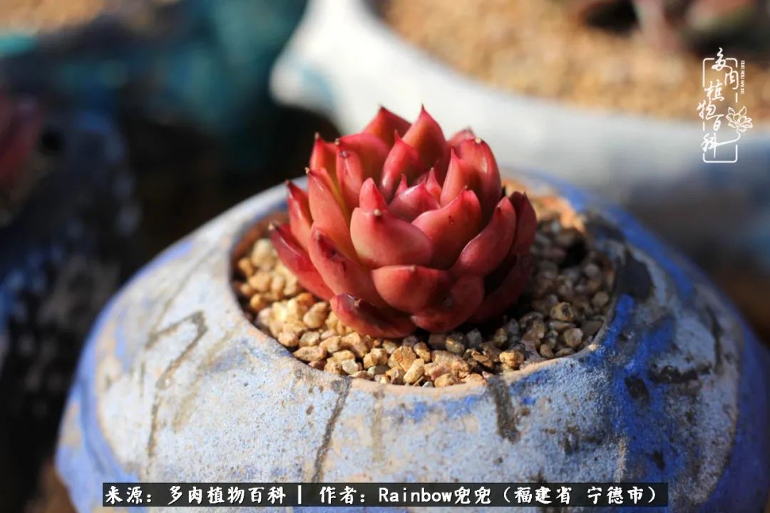 岁月无波澜余生不悲欢是啥意思,愿你岁月无波澜敬我余生无悲欢