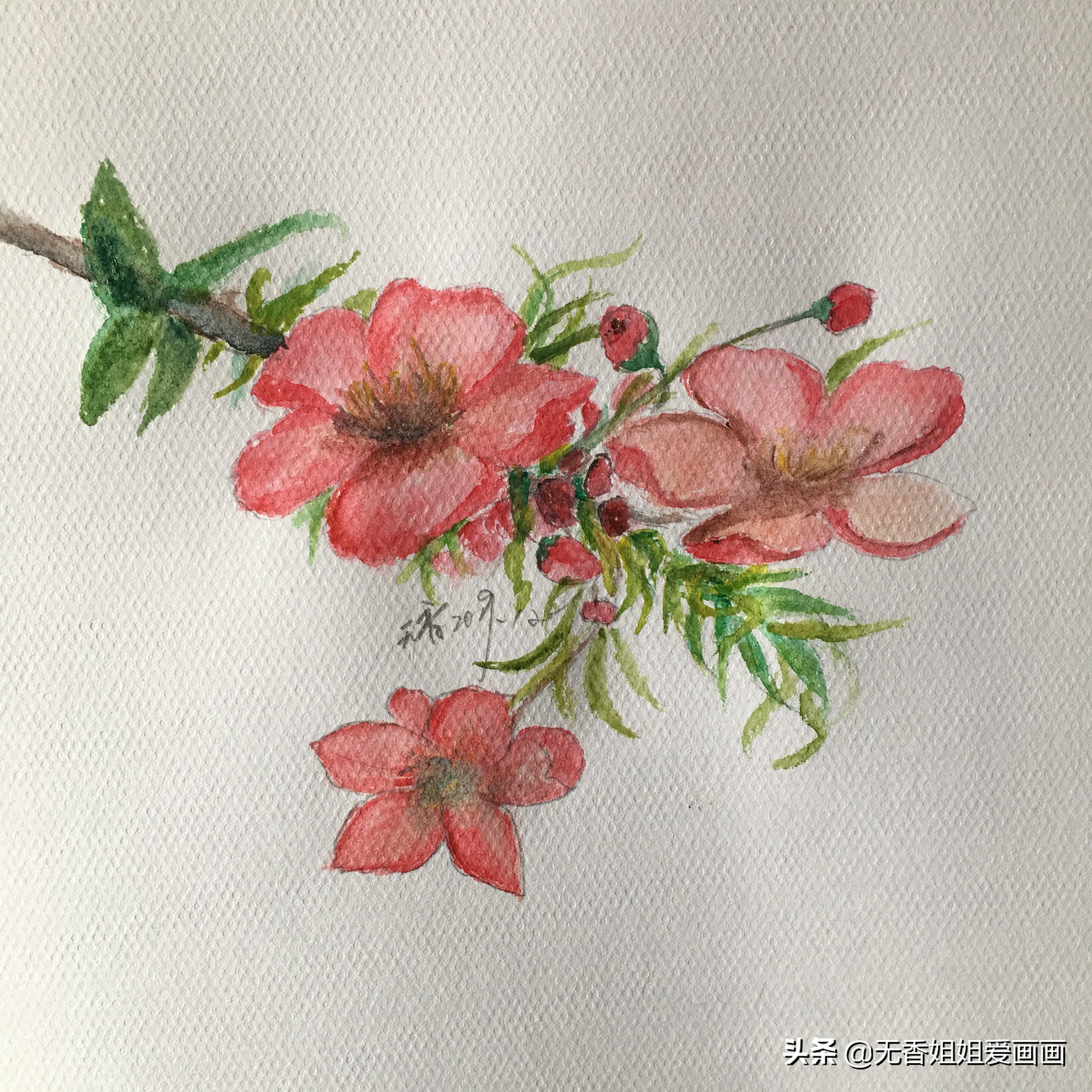 手绘桃花图片小学,马克笔手绘教程桃花